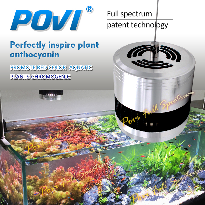 POVI-최신 Led 수족관 빛 100W70W50W, 수조 led 조명, 수생 식물용